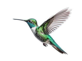 Fototapeta premium a hummingbird flying in the air