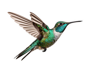 a hummingbird flying in the air