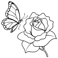 illustration of rose