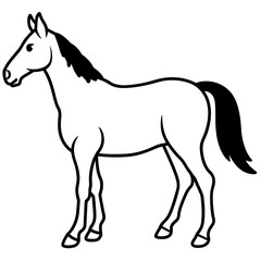 Obraz premium horse illustration