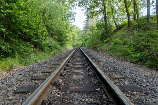 Narrow gauge railway tracks with oily oak wooden sleepers in the forest, saxony, travel Germany - Powered by Adobe