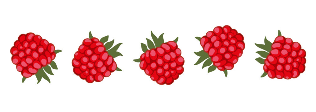 Set of raspberries. Ripe raspberry with sepals on a white background. Raspberry close-up. Ideal for food and marketing related projects. Vector.