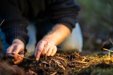 regenerative organic farmer, taking soil samples and looking at plant growth in a farm. practicing sustainable agriculture in spring