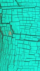 The texture of cracked paint on wood