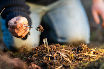 scientist researcher studying soil and forest health effects from climate change. university...