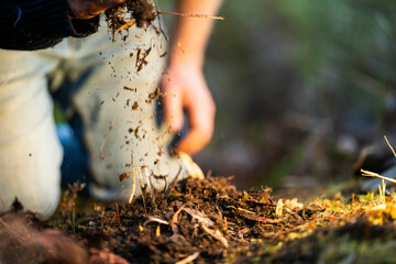 farmer collecting soil samples in a test tube in a field. Agronomist checking soil carbon and plant health on a farm in  a field