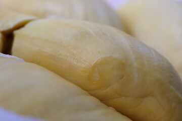 Close up light yellow durian's flesh and detail about texture and lobe shape.