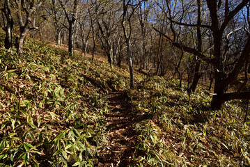 Climbing  Mount Asama-kakushi, Gunma, Japan