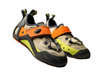 a pair of shoes with a white background