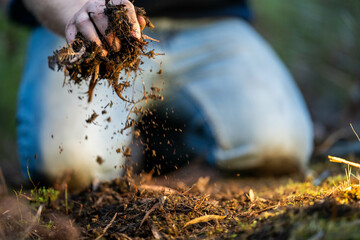 turning a compost pile in a community garden. compost full of microorganisms. sustainable regenerative agriculture