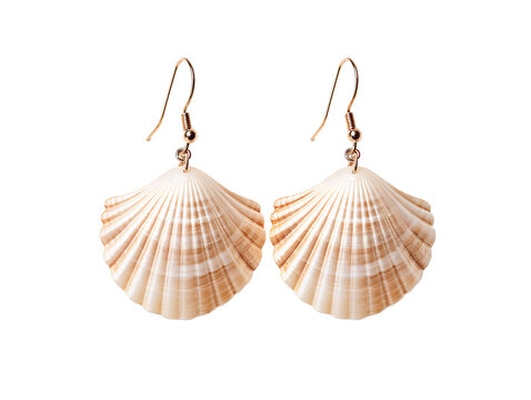 a pair of seashell earrings