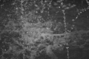 Obraz premium Water drops Rain drops Water splashes Background 