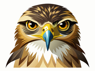  Ferruginous Hawk vector illustration 