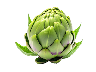 a green artichoke with leaves
