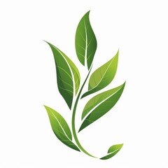 Naklejka premium logo, vector design of green tea leaves in the shape of an 