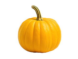 Obraz premium a yellow pumpkin with a stem