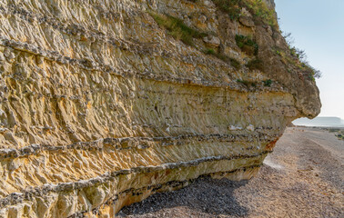 Chalk cliff near Saint Leonard