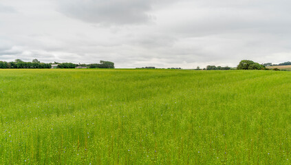 Around Saint Leonard in France