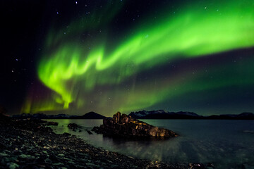 Aurora Borealis in the night sky over the sea, Skjervoy, Troms, Norway, Barents Sea, Arctic Ocean. November, 2022. 