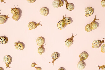 Snails on a pink background. Aestetic skin care cosmetic fashion concept.