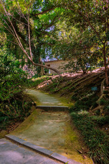 Fototapeta premium Winding concrete path leading to secluded building in lush green park
