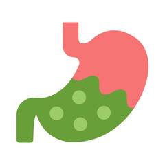 Stomach Flat Icon
