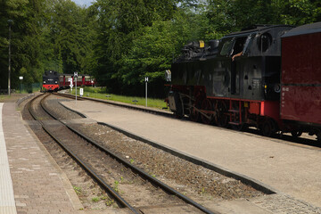 Fototapeta premium Mecklenburgische Bäderbahn, Zug, Dampflok, Kleinbahn Molli, Bahnhof Ostseebad Heiligendamm, Mecklenburg Vorpommern, Deutschland 