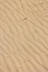 footprints in the sand