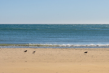 beach and sea