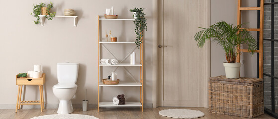 Interior of modern restroom with toilet bowl and shelving unit