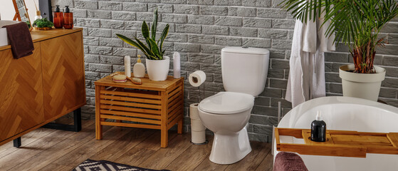Interior of modern bathroom with bathtub and toilet bowl