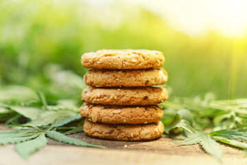 Cookies with cannabis and buds of marijuana on wooden brown table. A can of cannabis buds CBD Concept of cooking with cannabis herb. Treatment of medical marijuana for use in food, use CBD
