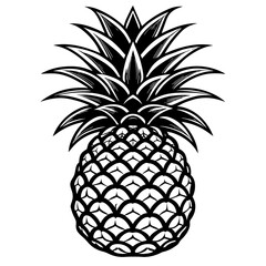 pineapple vector illustration