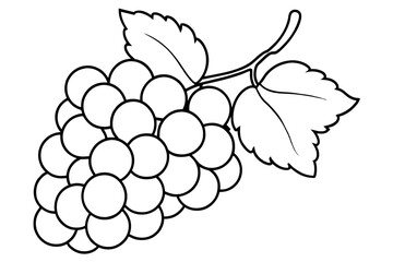 A bunch of grapes with leaves line art vector illustration 