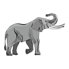 Cute gray elephant standing isolated on white background. Wild animal with large ears, long trunk and tail. Flat vector design