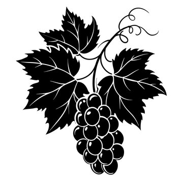 recommend clip art: A bunch of grapes with leaves silhouette vector illustration 