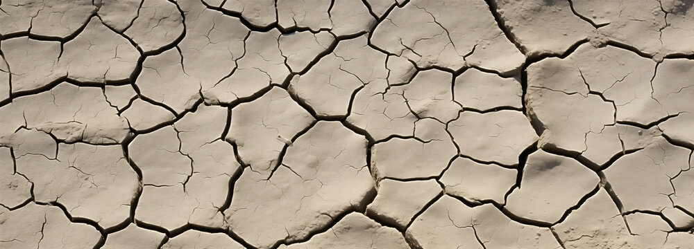 Arid landscape: cracked earth texture for design inspiration. A close-up shot of cracked earth, ideal for graphic and web designers seeking a rough, textured background