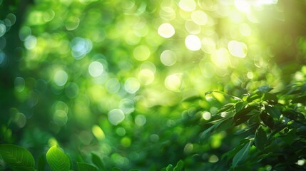 Obraz premium Green bokeh light background summarized