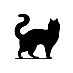 Halloween Cat