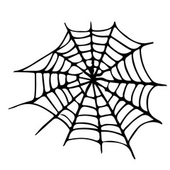 Fototapeta premium Halloween Spider Web 