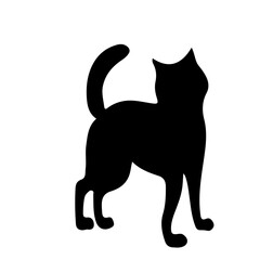 Halloween Cat