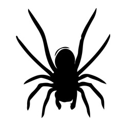 Spider Silhouette Vector