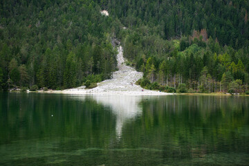 Blick auf einen Geröllabgang an einem Berghang duch einen Wald hindurch zu einem Seeufer