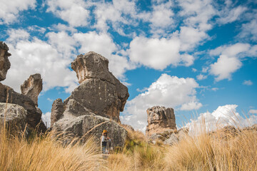 A person is standing in a field of tall grass next to a large rock formation, traveling through the peruvian andes