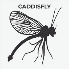 A Distinctive Caddisfly Silhouette for Multi-Format Design Projects. Vector Illustration