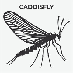 A Clear and Bold Caddisfly Silhouette for Versatile Applications. Vector Illustration