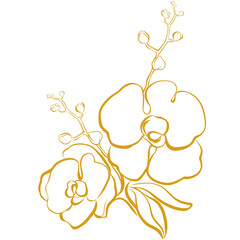 Philippine Orchid in gold