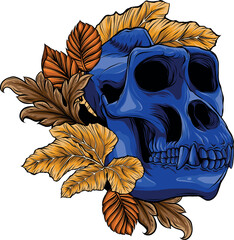 colored draw of monkey skull vector illustration design