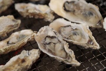 牡蠣小屋でのシーン