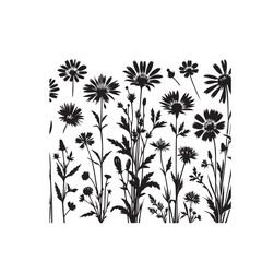 Many different meadow flowers isolated on white, set silhouette,